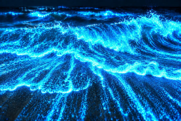 Bioluminescent Waves.PNG